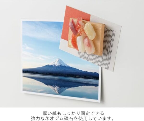 Midori 43410006 Magnet Magnet, 1 Pack, Sushi Pattern - Image 5