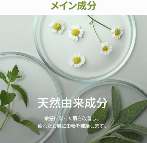 Kofer 4ever Line Curie Pea Mera Cream, 1.2 fl oz (35 ml), Korean Skin Care, Korean Cosmetics - Image 2