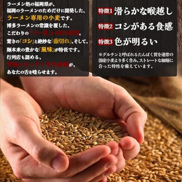 Kurume Rich Tonkotsu Ramen (4 servings) [Ramugi, Semi-dried Thin Noodles, Soup Set] - Image 5