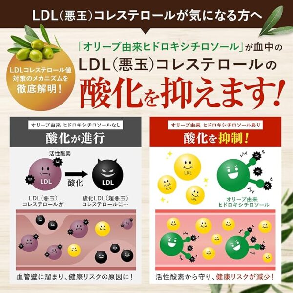 Choleste/Blood Pressure W Care, LDL Bad Cholesterol Care, Blood Pressure Reduction Supplement, Olive Production, GABA GMP Certified Factory Production, Salacia, Gymnema, 7 Ginseng, Food with - Image 2